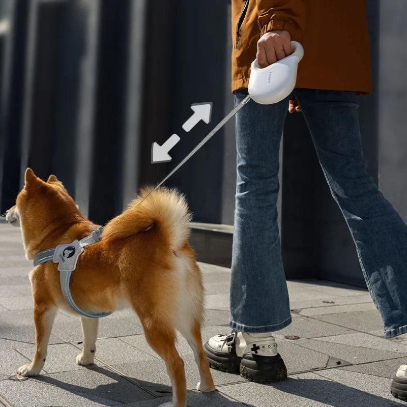 Laisse rétractable pour chien pour petit chien – 5 m Mixly 