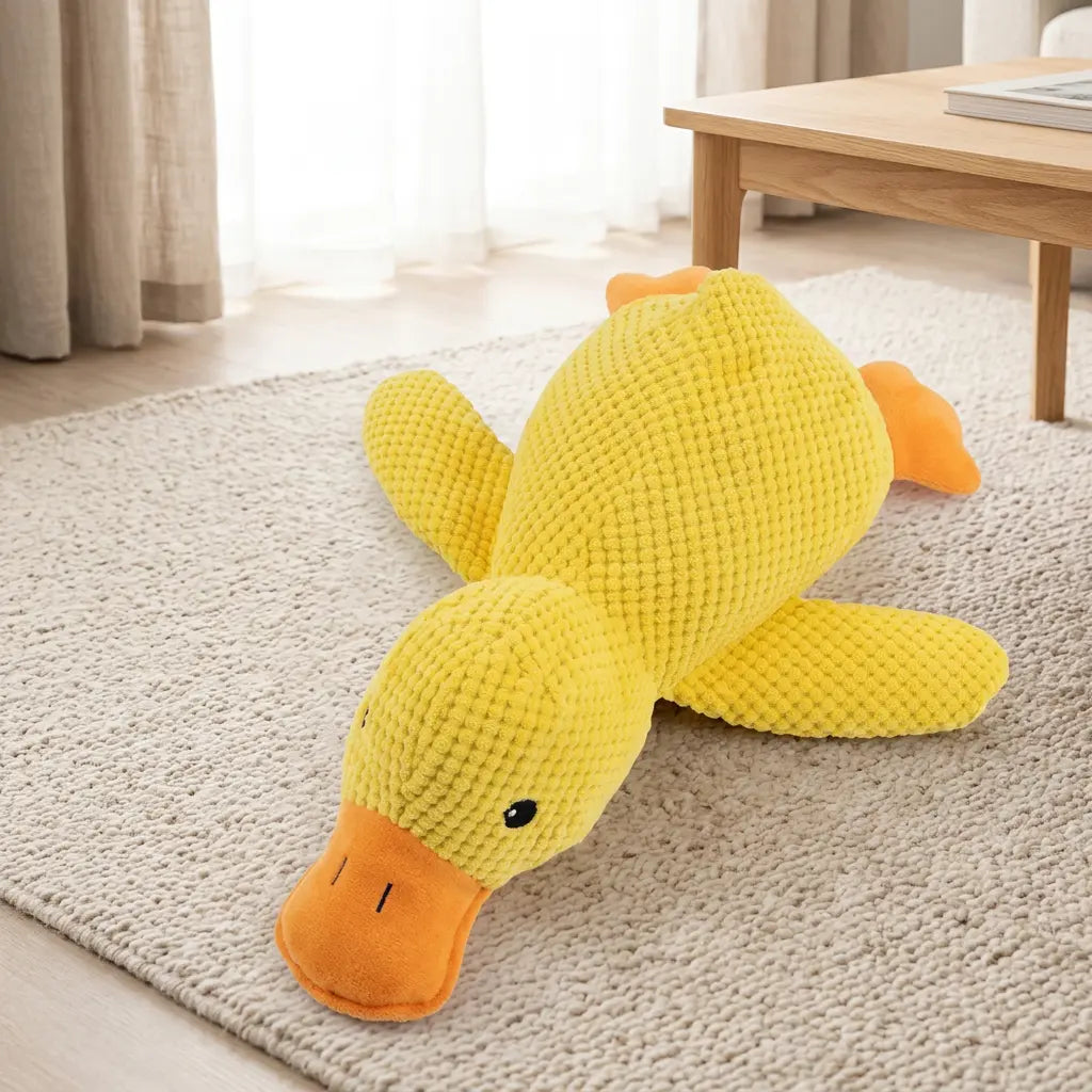 Canard taille M