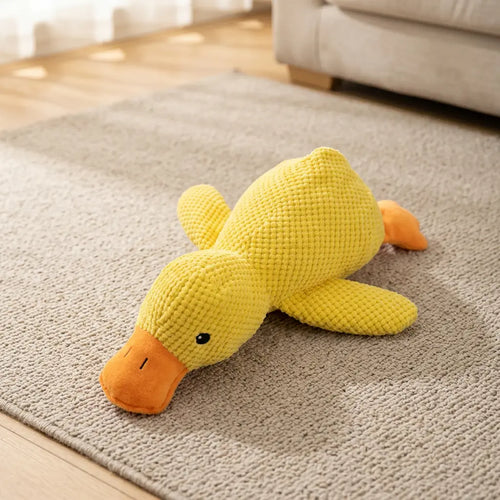 Canard taille S